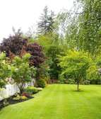 Landscaping services