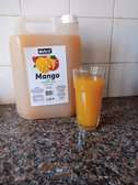 Nutrit® Mango Juice*5L*Preserved Natural Juice