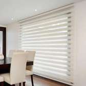 Zebra Roller Blinds – Day & Night Control