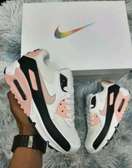 Airmax 90 Dior