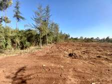 0.125 ac Residential Land at Ngenia