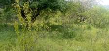 100 Acres Available for Sale in Mutomo Kitui County.