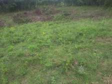 Beautiful one eighth plots in Ngong