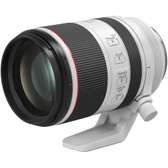 Canon RF 70-200 F 2.8 Lens
