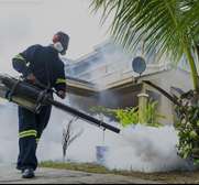 Fumigation and pest control services