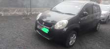 Toyota Passo For Sale