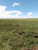 Land in Rumuruti