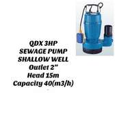 Premier 3HP Sewage Pump Shallow Well 2" Outlet 15M