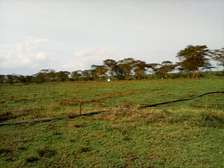 4,200 Acres of Land For Sale in Rumuruti, Laikipia
