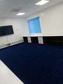Blue wall to wall carpets