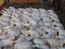 chicken broiler
