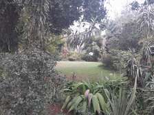 Land in Kilimani