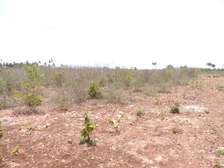 0.25 ac Residential Land at Diani Beach Road