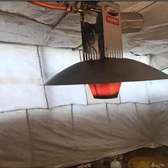 Damly gas brooder
