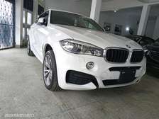 BMW X6 pearl white