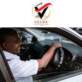 Professional Driver Service