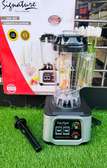 Commercial professional blender