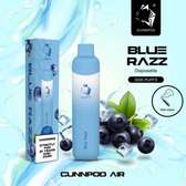 Gunnpod Air 3000 Puffs Rechargeable Vape - Blue Razz