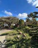 Commercial Land at Kona Baridi