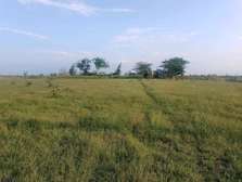 3 (50 by 100)  fertile land plots in Kamulu