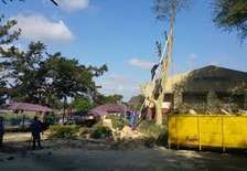 Nairobi Tree Cutting Services | Tree Cutting and Stump Removal Services| Bestcare Tree Service | Tree Trimming Service | Tree Removal And Landscaping | Affordable Tree Cutting Services | Bestcare Tree Trimming | Reliable Tree Cutting Service in Nairobi | Tree Cutting Services .Get A Free Quote Now.