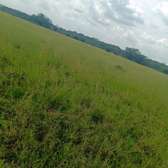 Land for sale in Lenchani