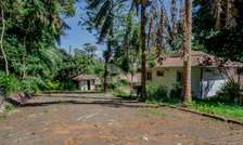 1 ac Land in Muthaiga