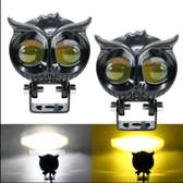 Owl shaped fog lights