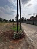 0.5 ac Land in Roysambu Area