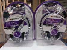 Stereo Master Multimedia Stereo Headphones With Microphone