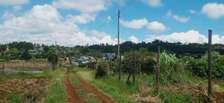 Prime residential plot for sale in Kikuyu Kamangu