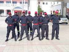 Professional Security Guard Services In Nakuru