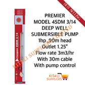 Premier Deep Submersible Water Pump 1HP 90M Head
