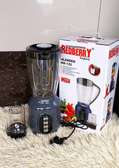 redberry blenders,2 in one