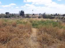 2 ac Land in Athi River