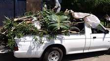 All Removals and General Garden Services.Landscaping & Gardening Services