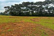 Commercial Property in Nyari