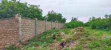 Land in Vipingo