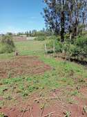 0.05 ha Residential Land at Kikuyu Kamangu