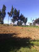 ¼ acre plot Kinungi, Naivasha