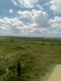 Land for sale-Hodari homes matuu