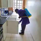 Pest Control and Fumigation Services Kamulu