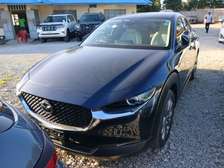 Sparkling Mazda CX-30