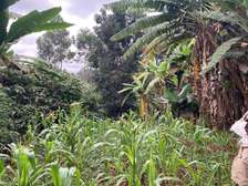 0.5 ac Land in Ruaka
