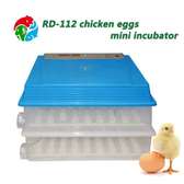 112 ac/dc eggs incubator