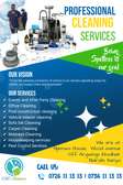 PROFESSIONAL CLEANING SERVICES