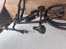 Electric bike for sale