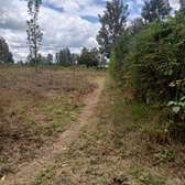 50*100ft residential plots for sale at Kenol Kimorori