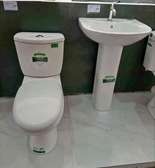 Sawa toilet ad sink