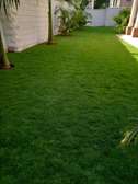 AFFORDABLE AND LOW MAINTENANCE LANDSCAPING SERVICES